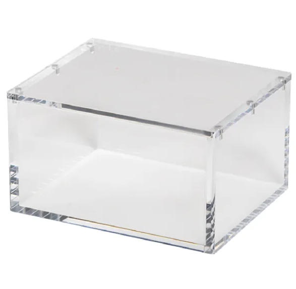 Acryl Case für Riftbound Booster Box League of Legends