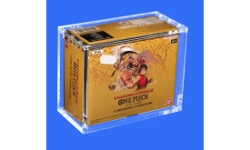 Acryl Case für One Piece Display